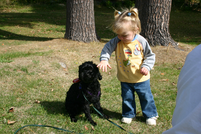 Picture 6867