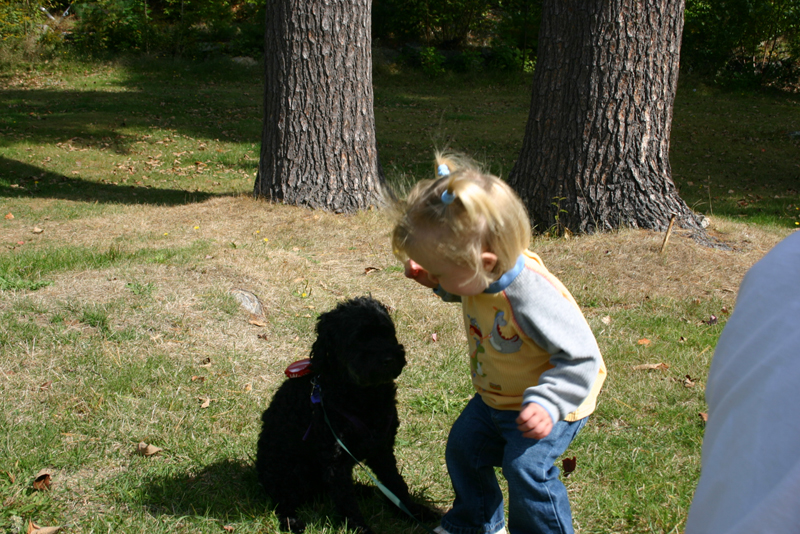 Picture 6868