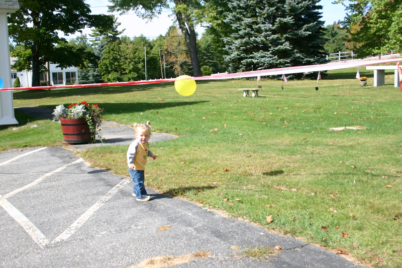 Picture 6869