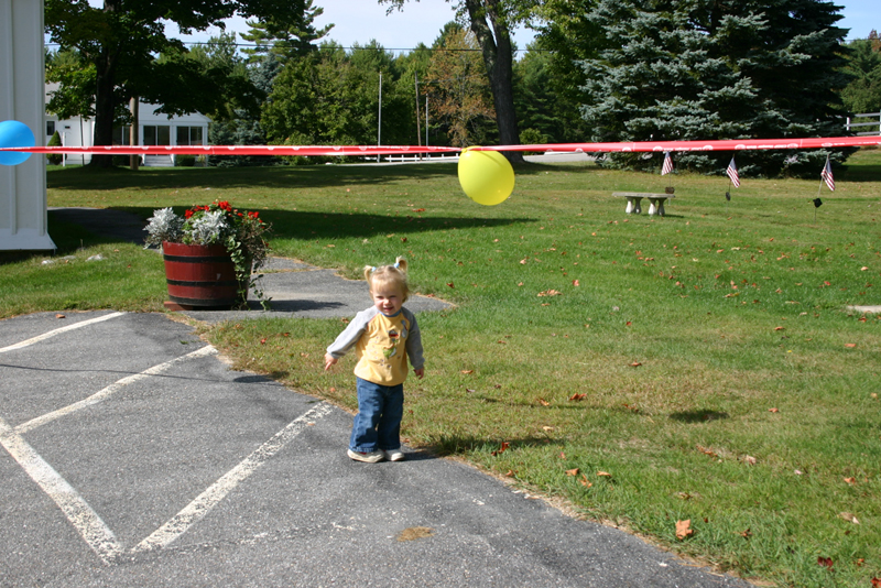 Picture 6870