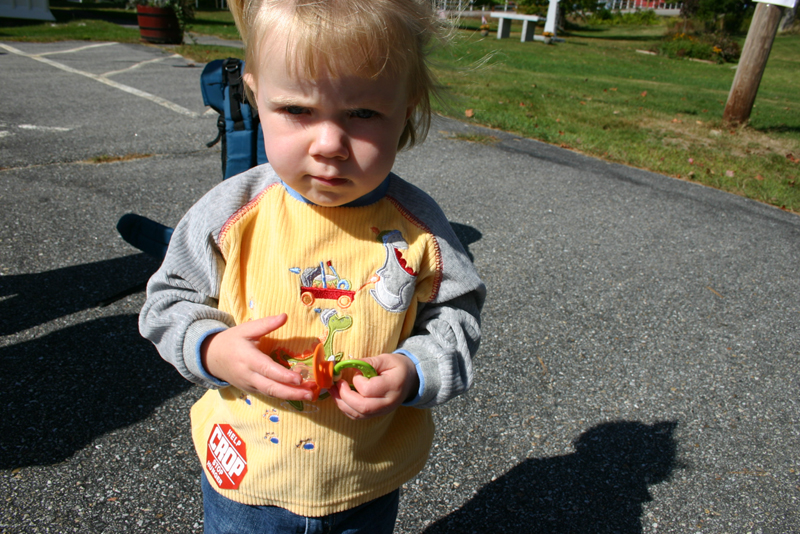 Picture 6872