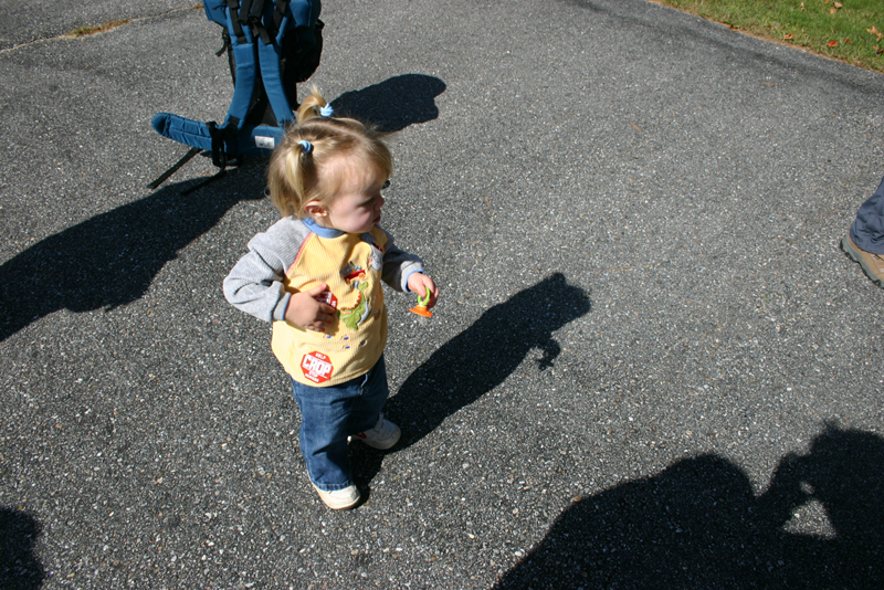 Picture 6874