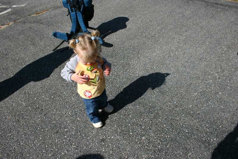 Picture 6875