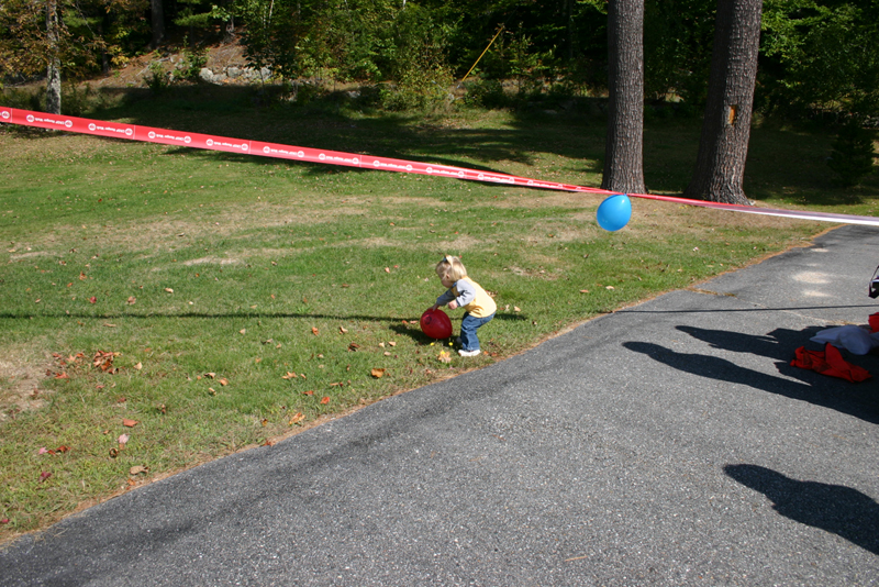 Picture 6876