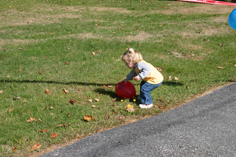 Picture 6877