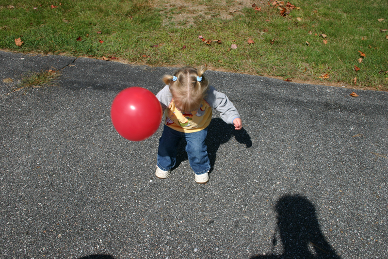 Picture 6882