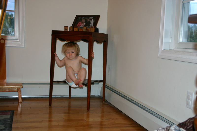 Picture 7219
