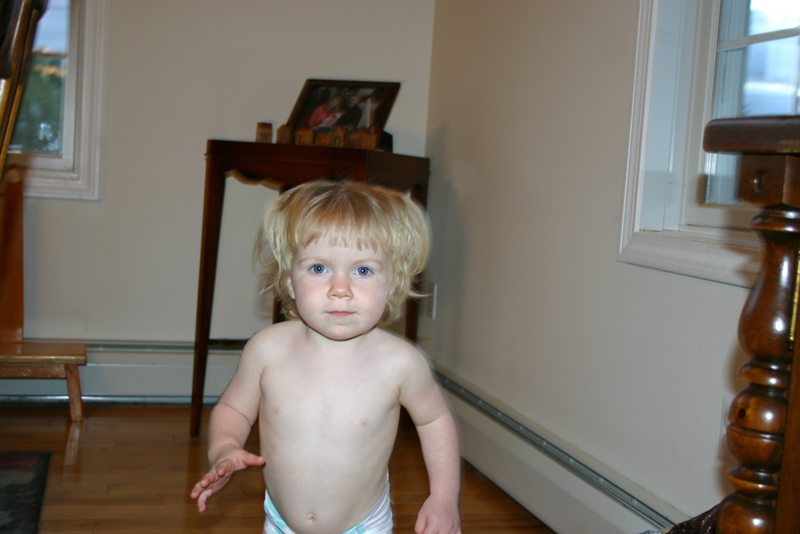 Picture 7221