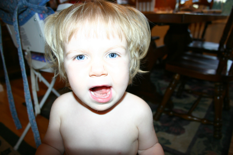 Picture 7223