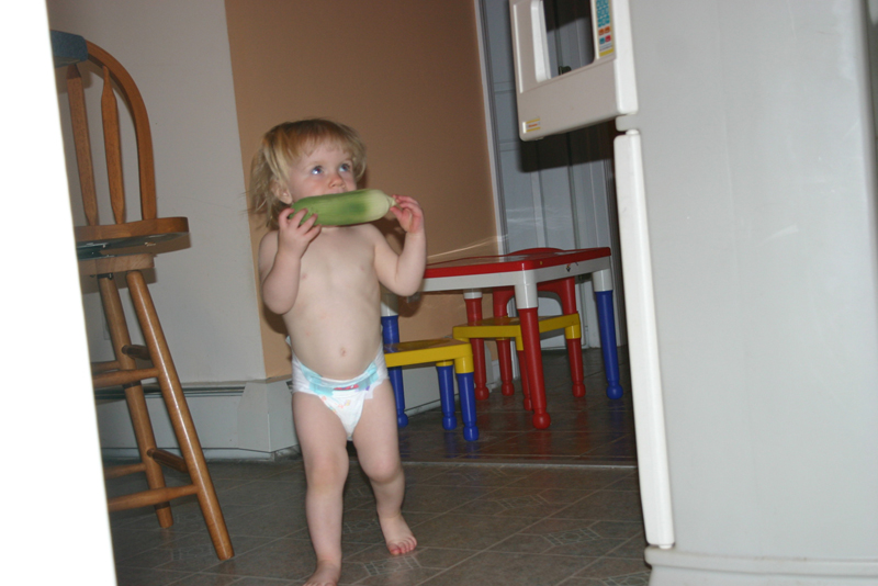 Picture 7227