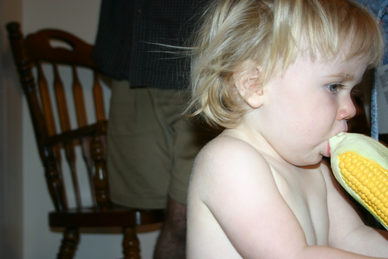 Picture 7228