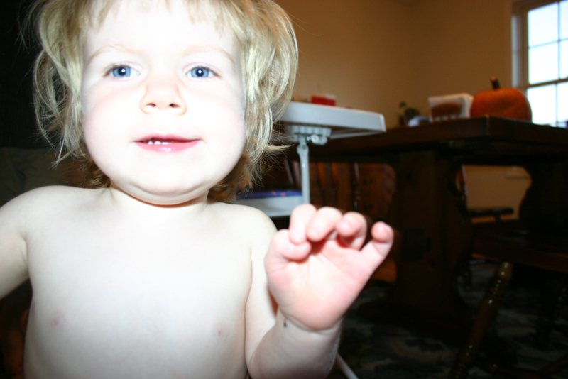 Picture 7229