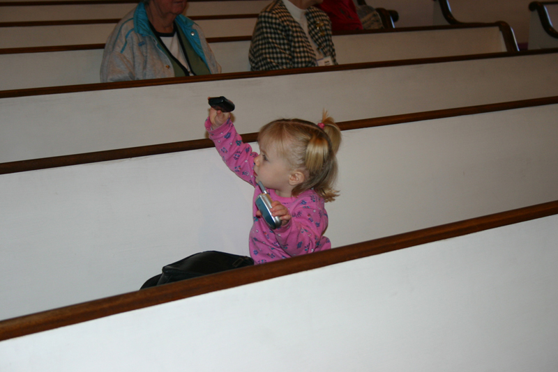Picture 7233