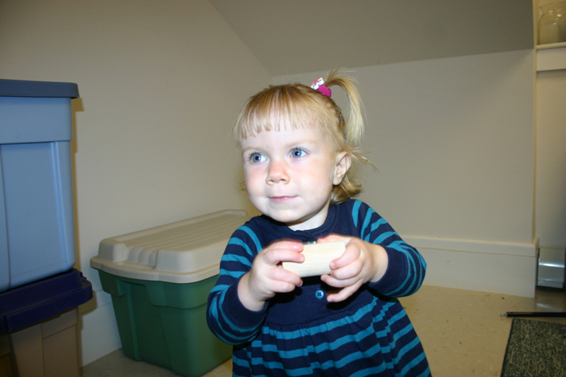 Picture 6909