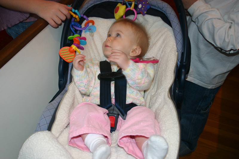 Picture 884