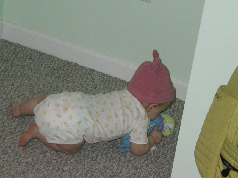 Picture 954