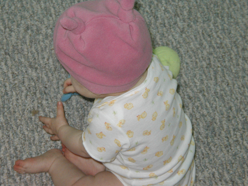 Picture 956