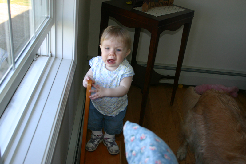 Picture 2241
