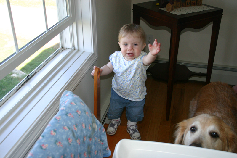 Picture 2246