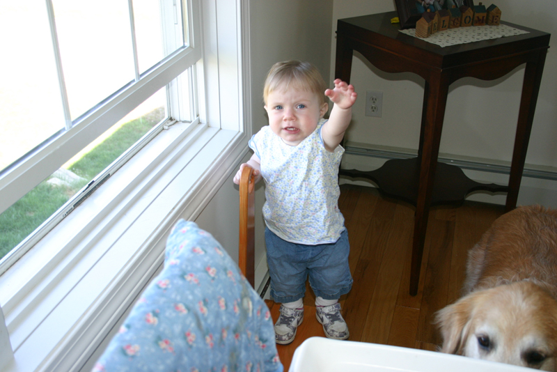 Picture 2247