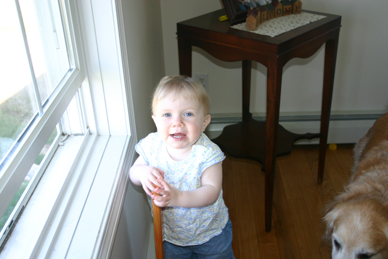 Picture 2252