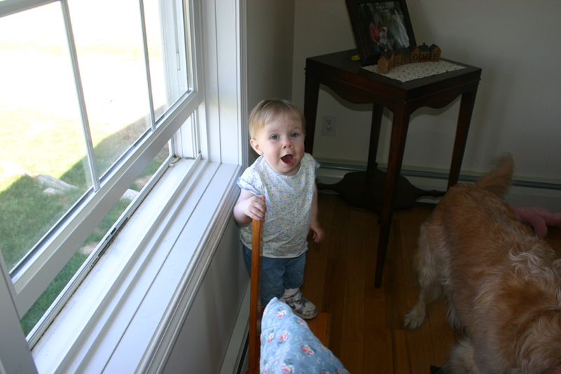 Picture 2254