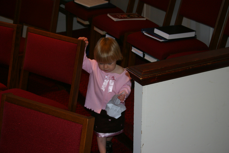 Picture 6427
