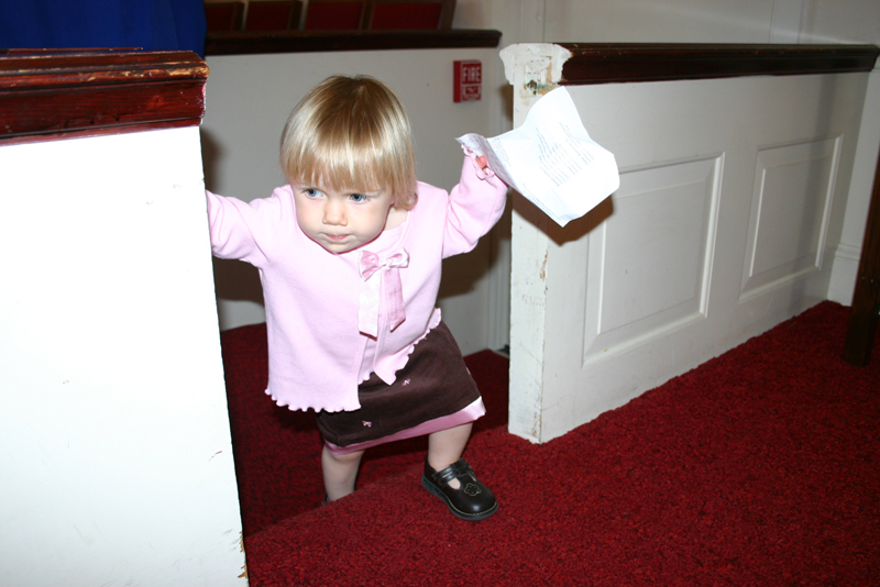 Picture 6428