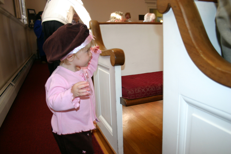 Picture 6445