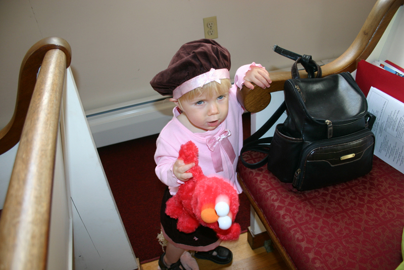 Picture 6452