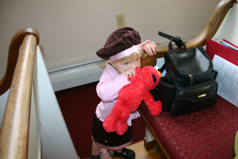 Picture 6453