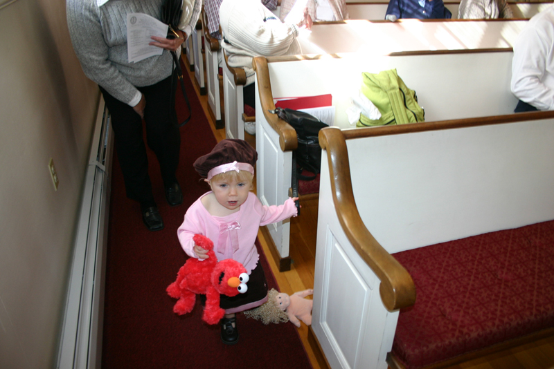 Picture 6454