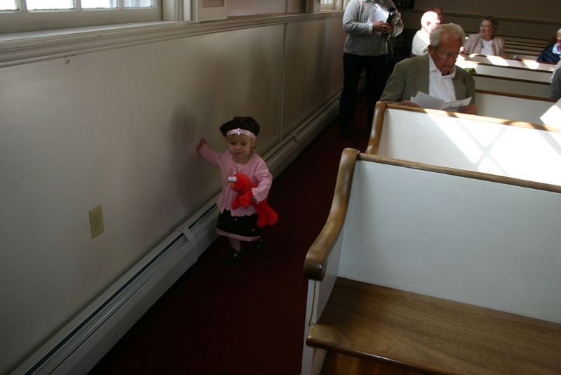 Picture 6455