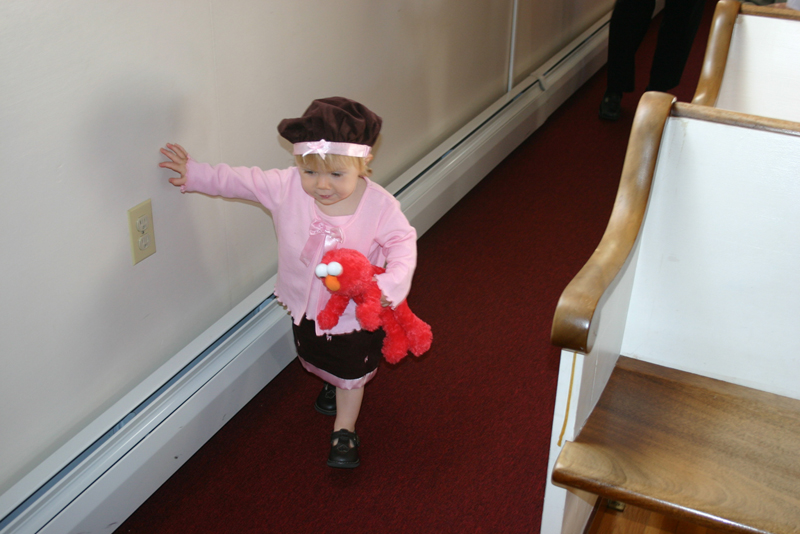 Picture 6456