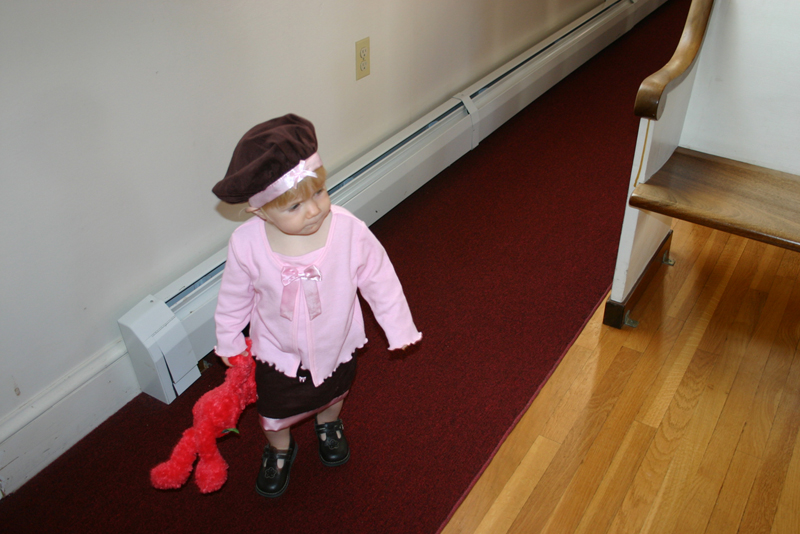 Picture 6458