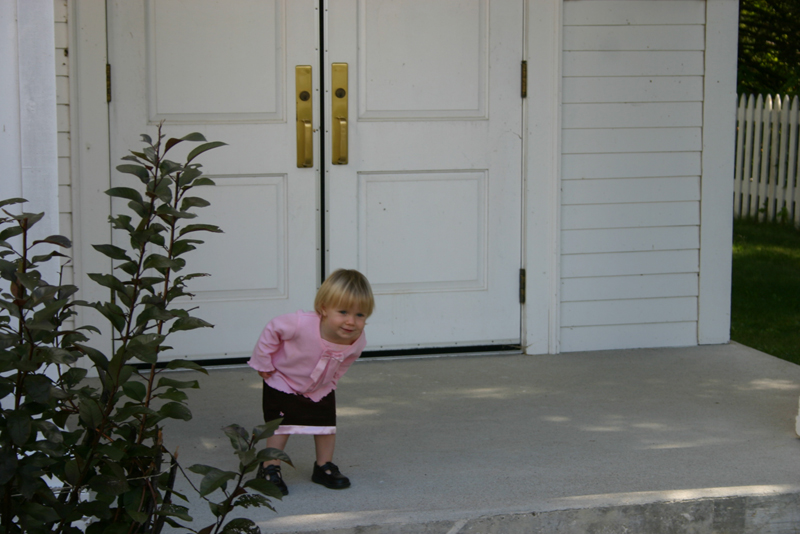 Picture 6466