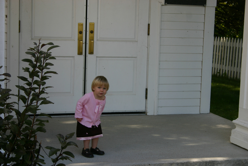 Picture 6468