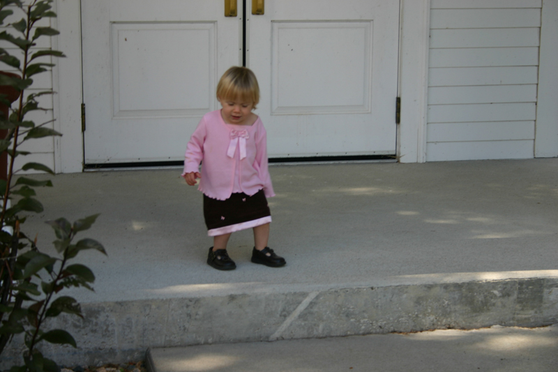 Picture 6469