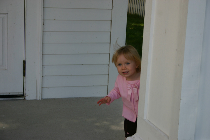 Picture 6483