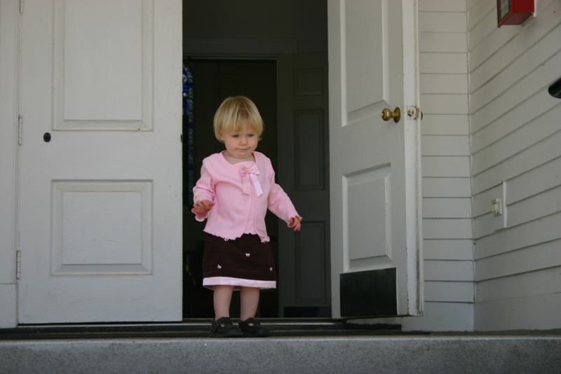 Picture 6488