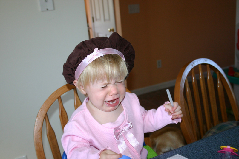 Picture 6496
