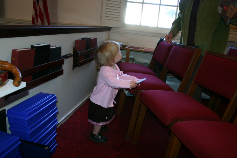 Picture 6501
