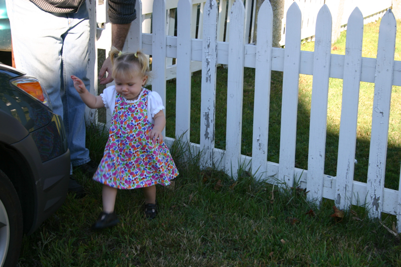 Picture 6507