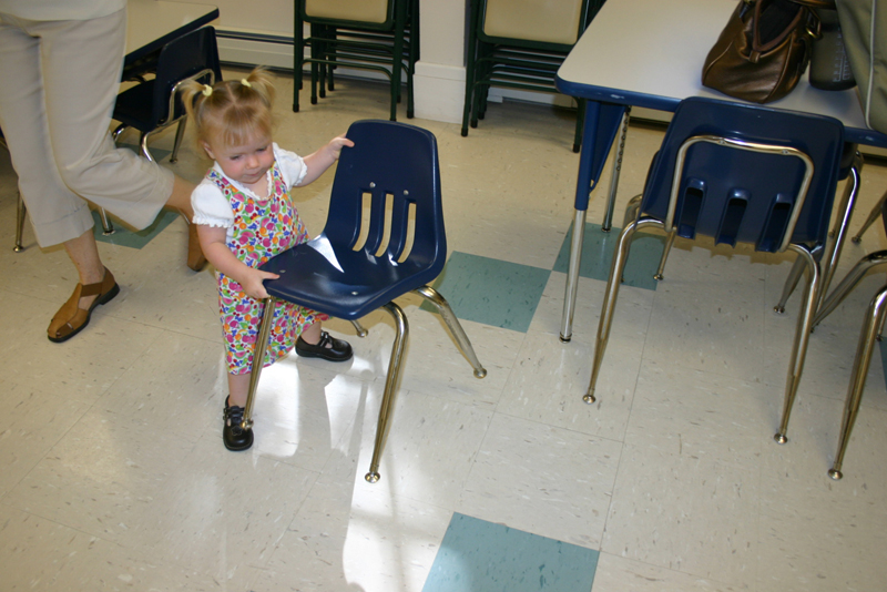 Picture 6508