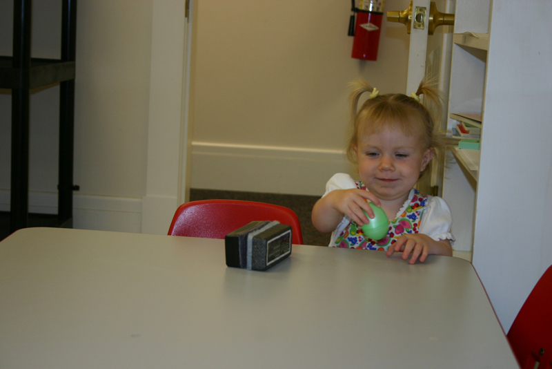 Picture 6511
