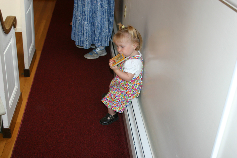 Picture 6517