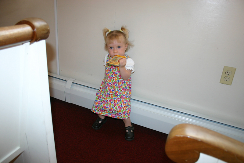 Picture 6525