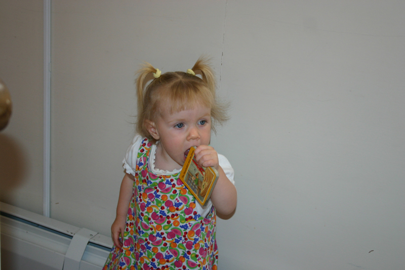 Picture 6530