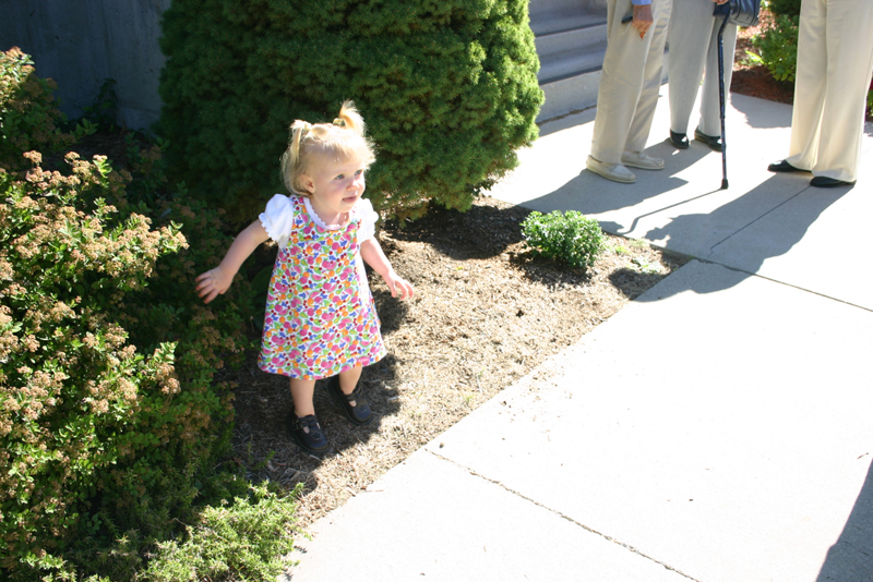 Picture 6562