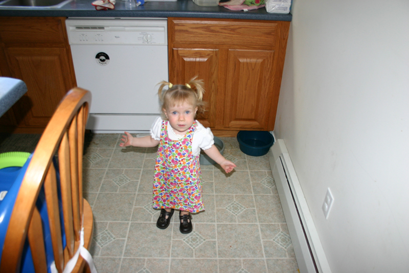 Picture 6568